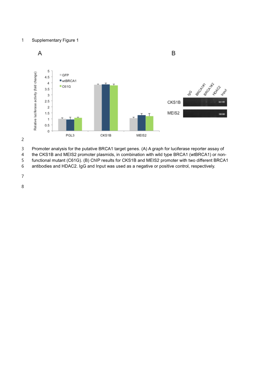 Supplementary Figure 1 1 2 Promoter Analysis for the Putative