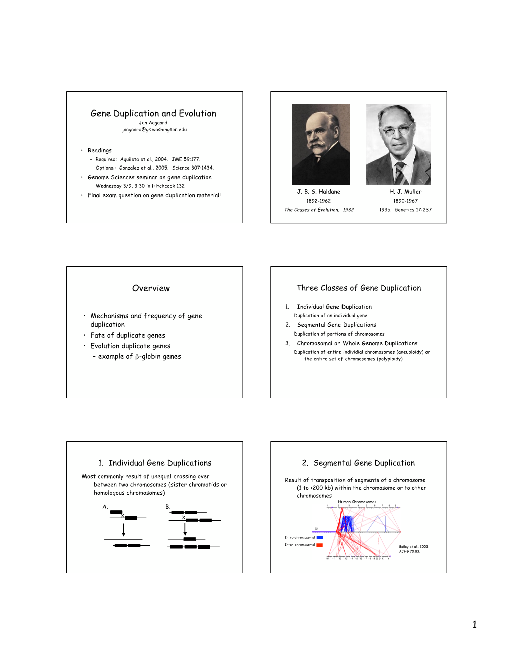 Gene Duplication and Evolution Overview