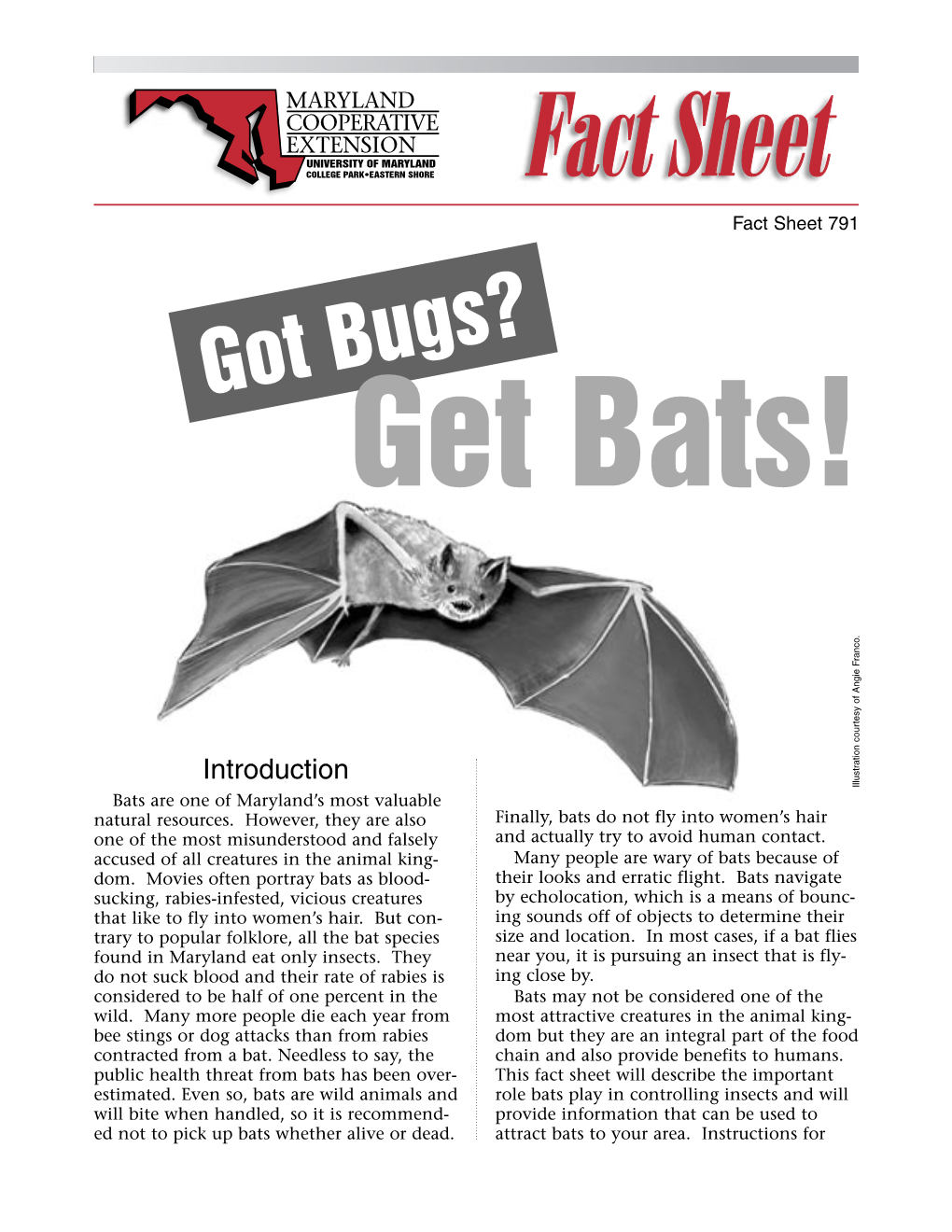 Got Bugs? Get Bats!