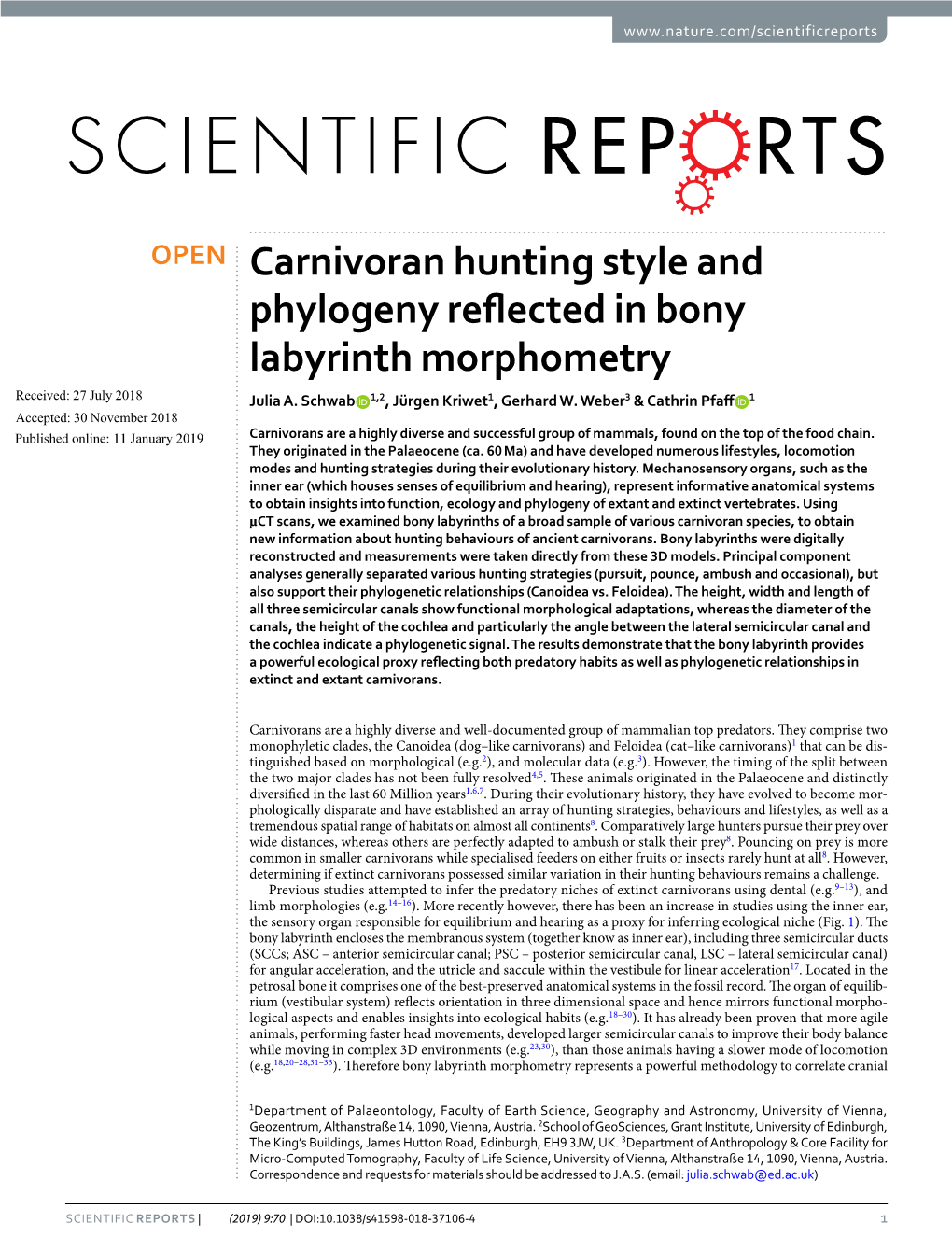 Carnivoran Hunting Style and Phylogeny Reflected in Bony