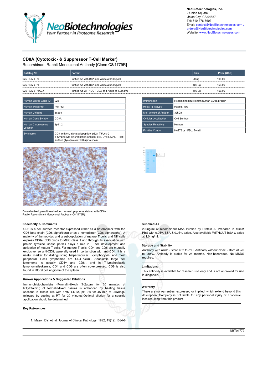 CD8A (Cytotoxic- & Suppressor T-Cell Marker)