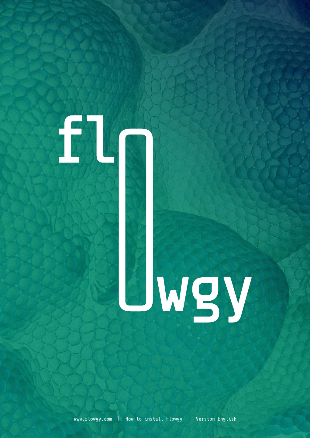 How to Install Flowgy | Version English Flowgy Is a Medical Tool Designed to Improve Medical Diagnosis and Nasal Surgery