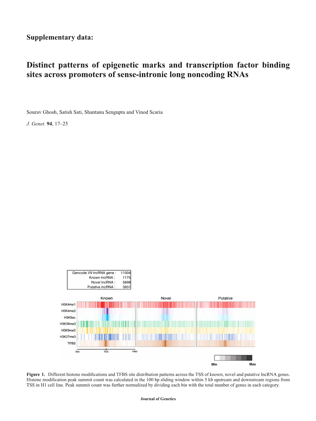 Distinct Patterns of Epigenetic Marks and Transcription Factor Binding Sites Across Promoters of Sense-Intronic Long Noncoding Rnas