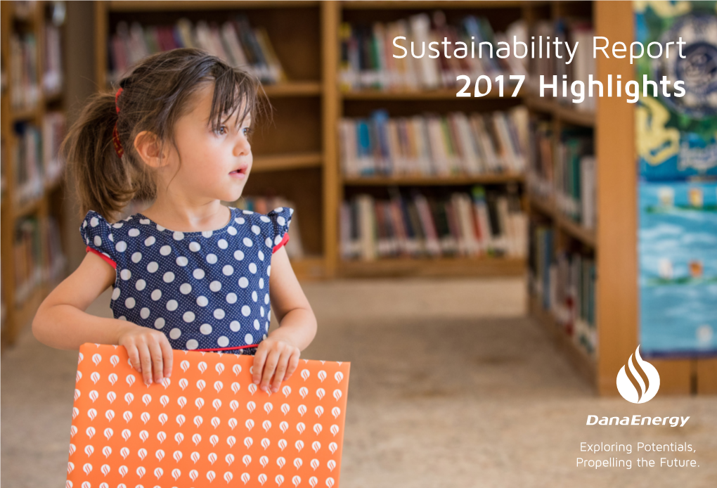 Sustainability Report 2017 Highlights