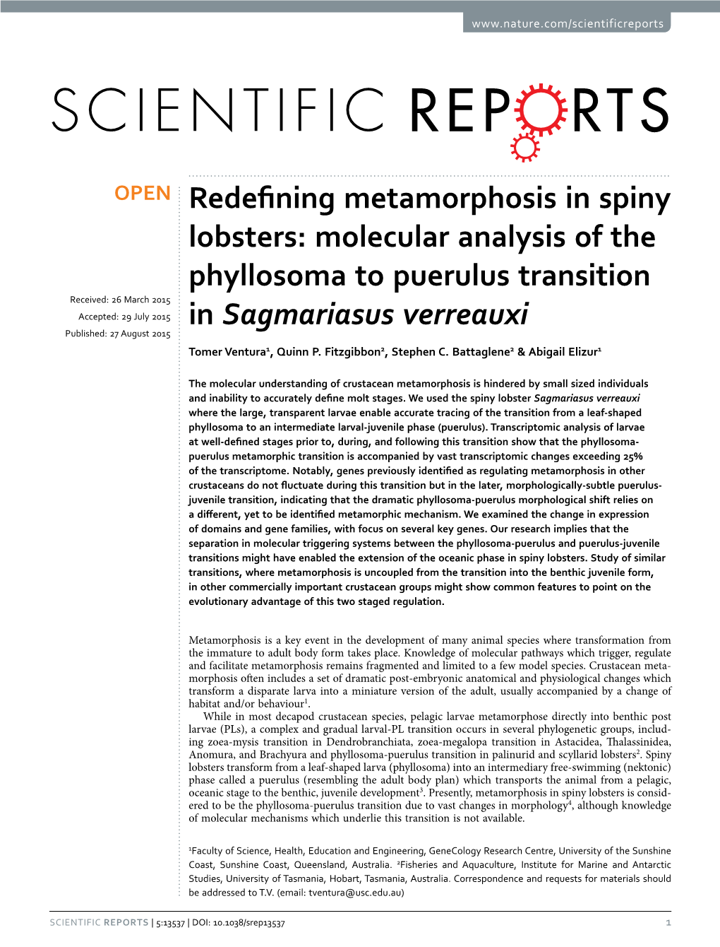 Redefining Metamorphosis in Spiny Lobsters: Molecular Analysis of the Phyllosoma to Puerulus Transition in Sagmariasus Verreauxi