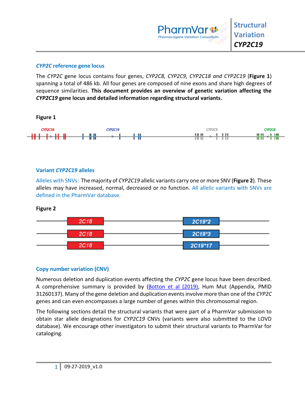 Structural Variation for CYP2C19