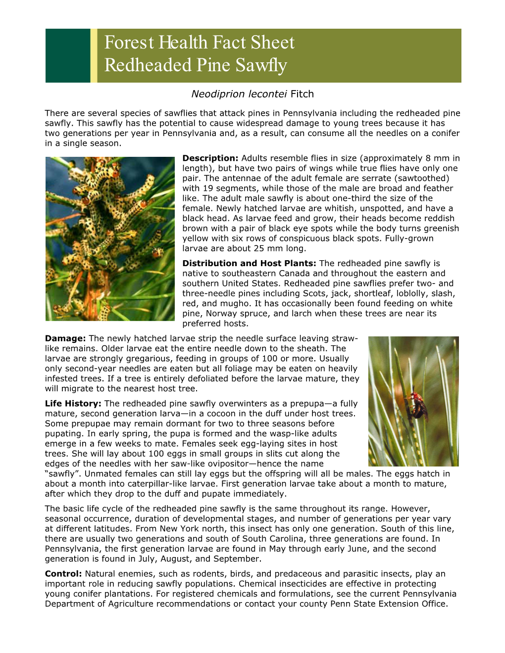 Forest Health Fact Sheet Redheaded Pine Sawfly