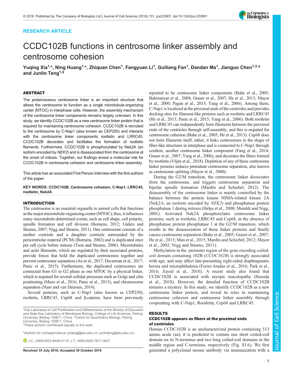 CCDC102B Functions in Centrosome Linker Assembly And