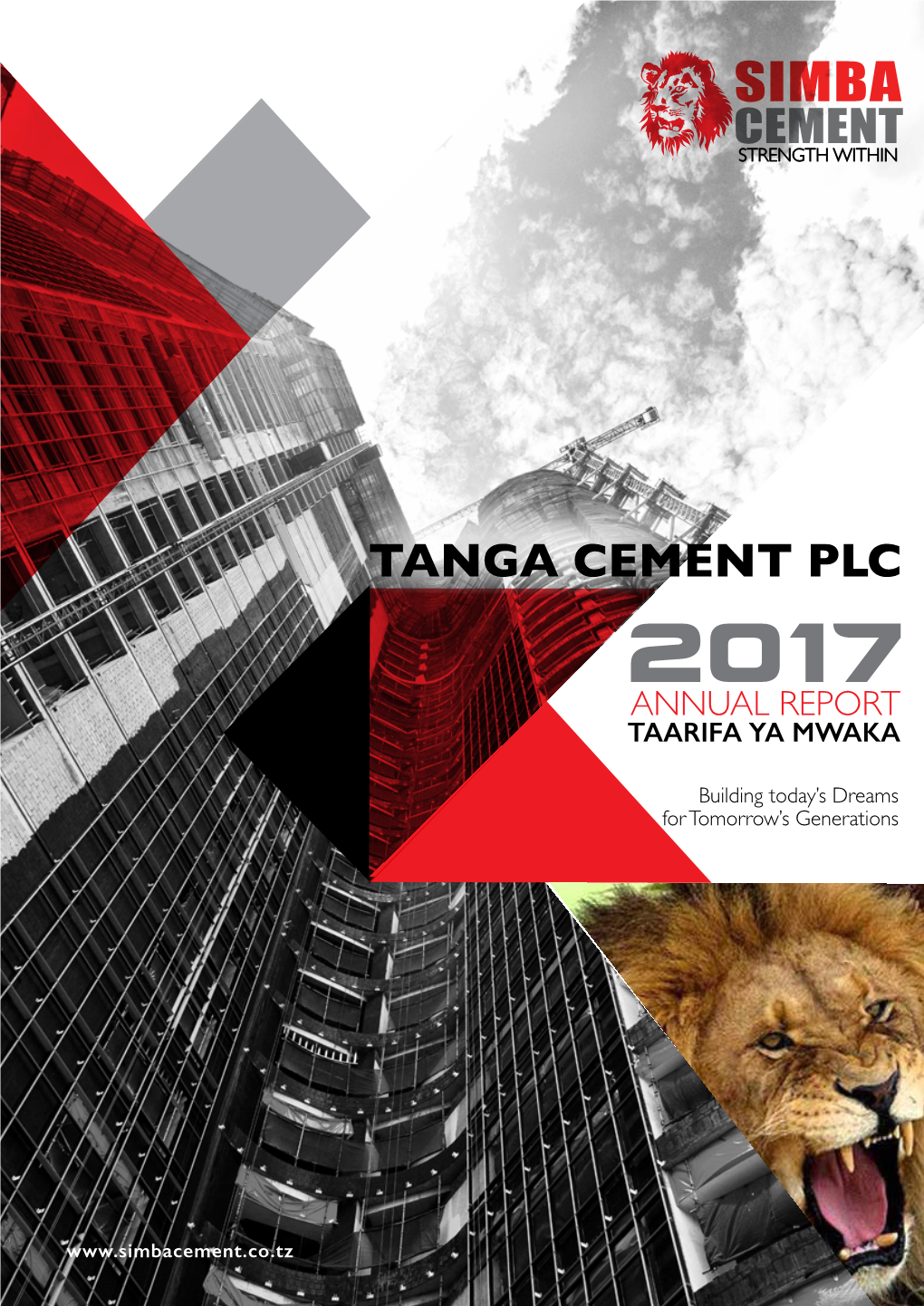 Tanga-Cement-AR-2017