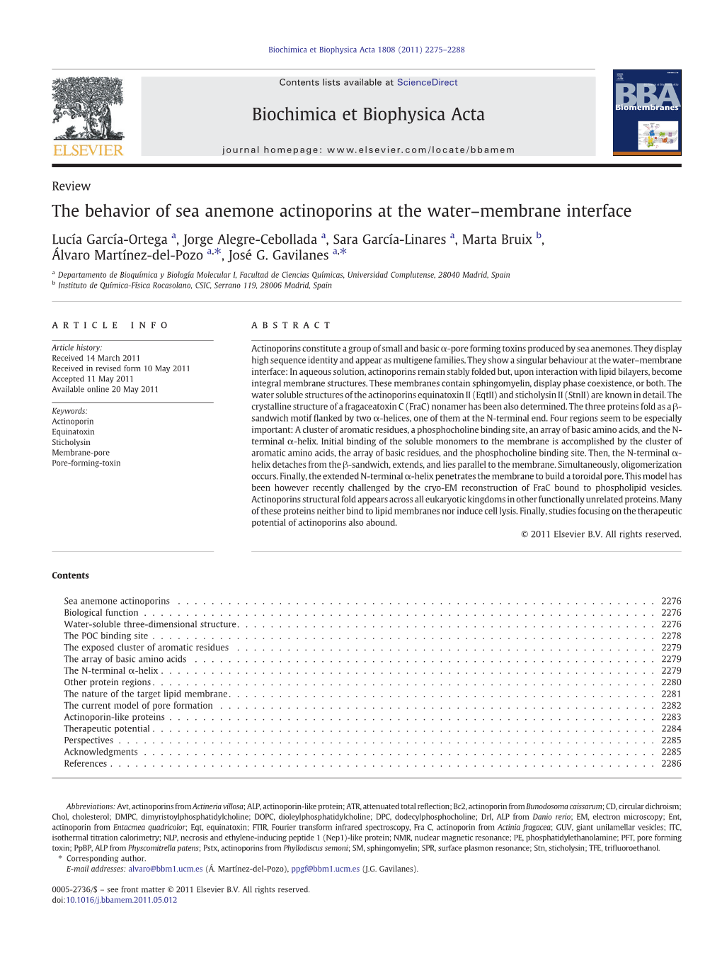 The Behavior of Sea Anemone Actinoporins at the Water–Membrane Interface