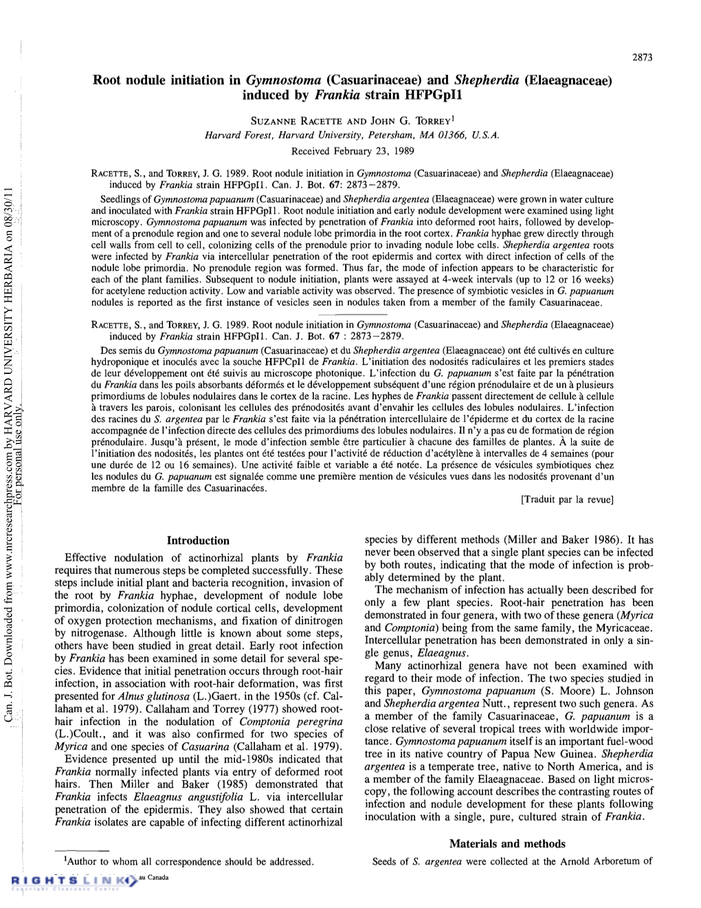 Root Nodule Initiation in Gymnostoma (Casuarinaceae) and Shepherdia (Elaeagnaceae) Induced by Frankia Strain Hfpgpil