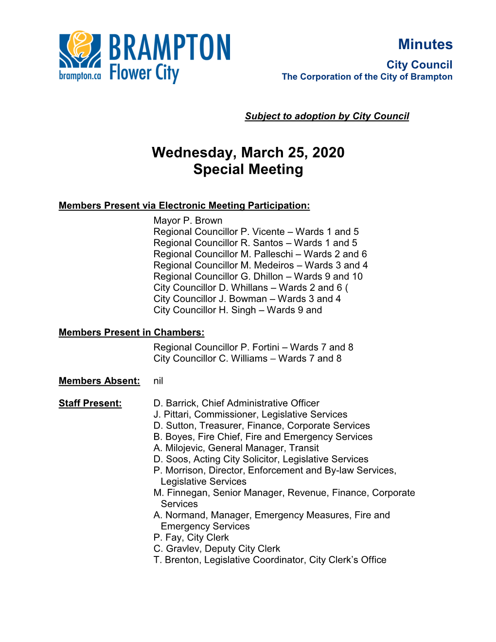 Special City Council Minutes for March 25, 2020