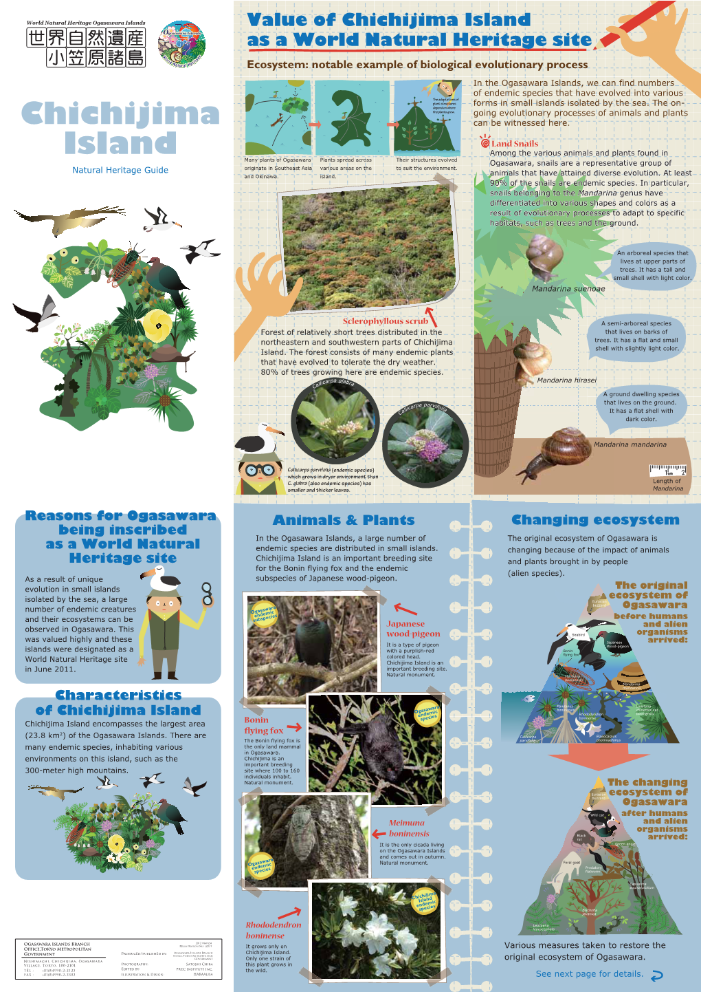 Chichijima Island As a World Natural Heritage Site Ecosystem: Notable Example of Biological Evolutionary Process