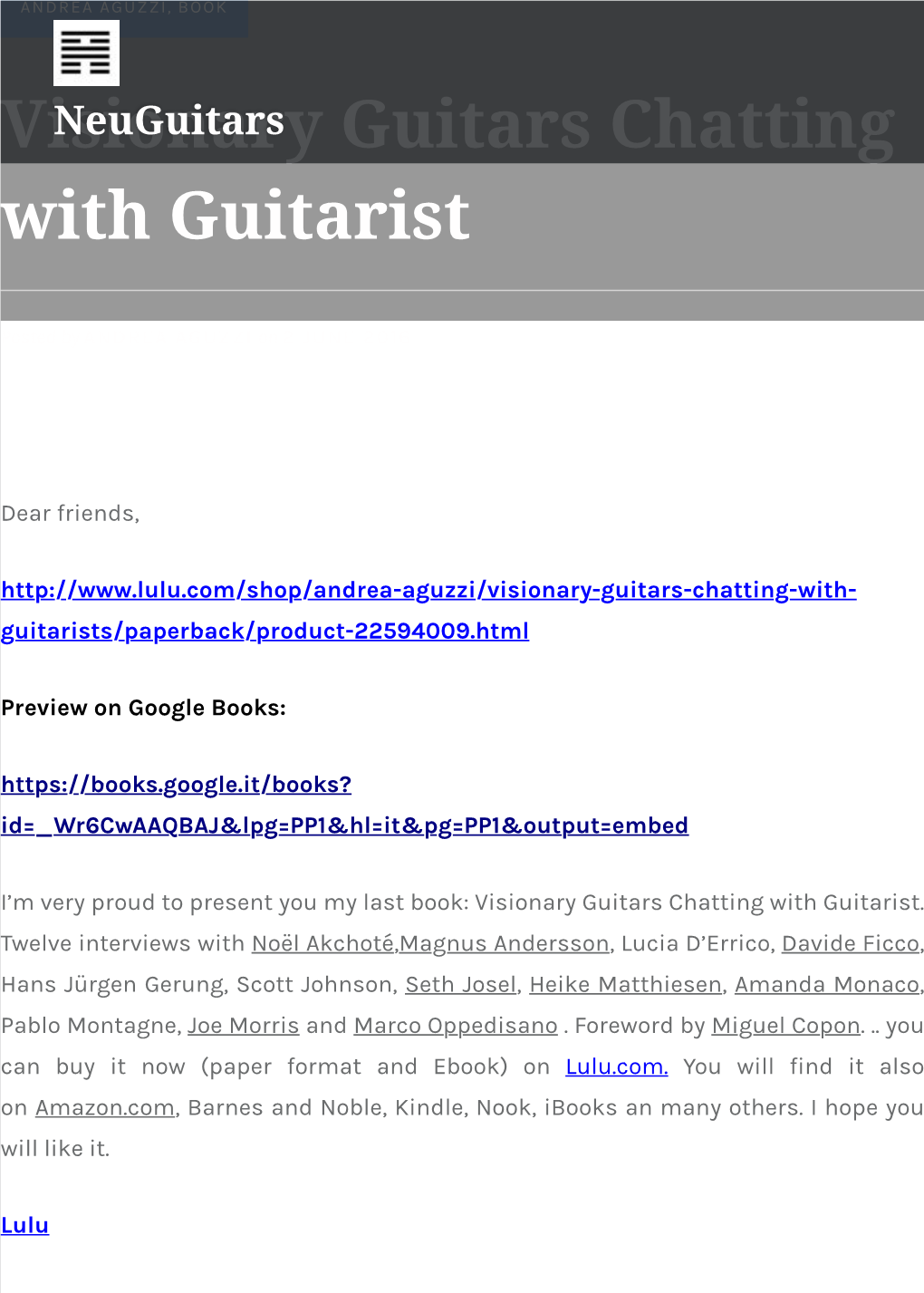 Visionary Guitars Chatting with Guitarist