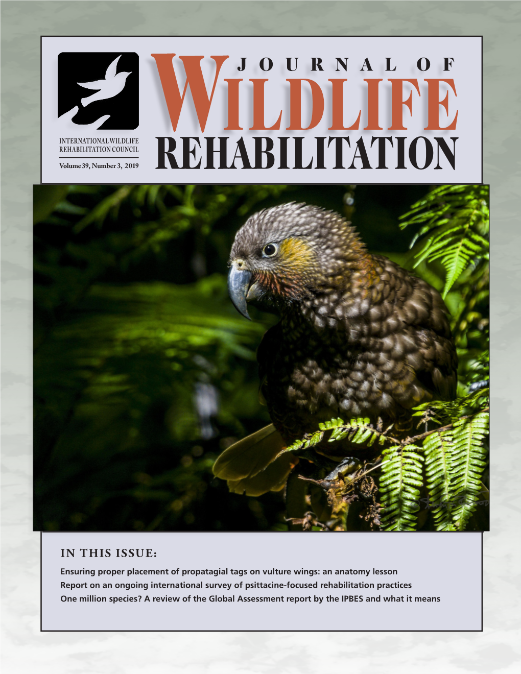 REHABILITATION COUNCIL Volume 39, Number 3, 2019 REHABILITATION