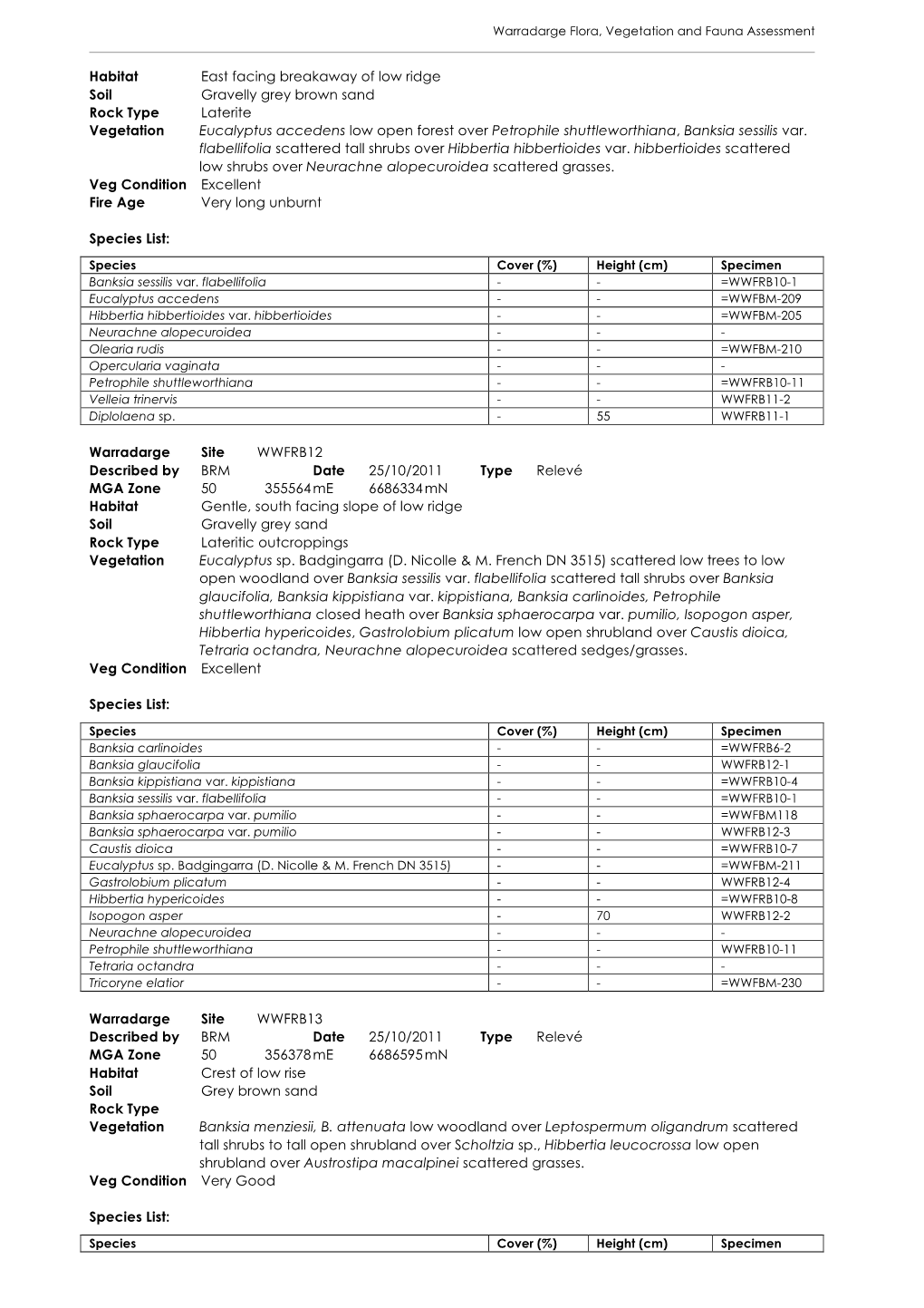 Meeting Agenda Template