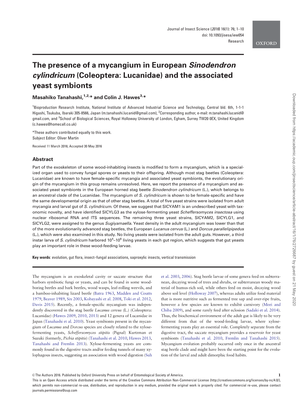 The Presence of a Mycangium in European Sinodendron
