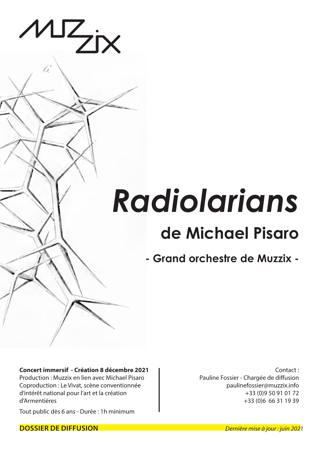 Radiolarians-Michaelpisaro.Pdf