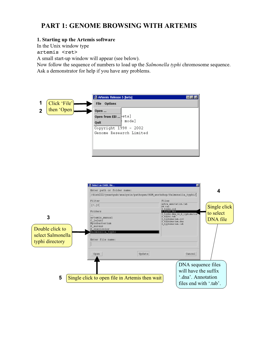 Part 1: Genome Browsing with Artemis