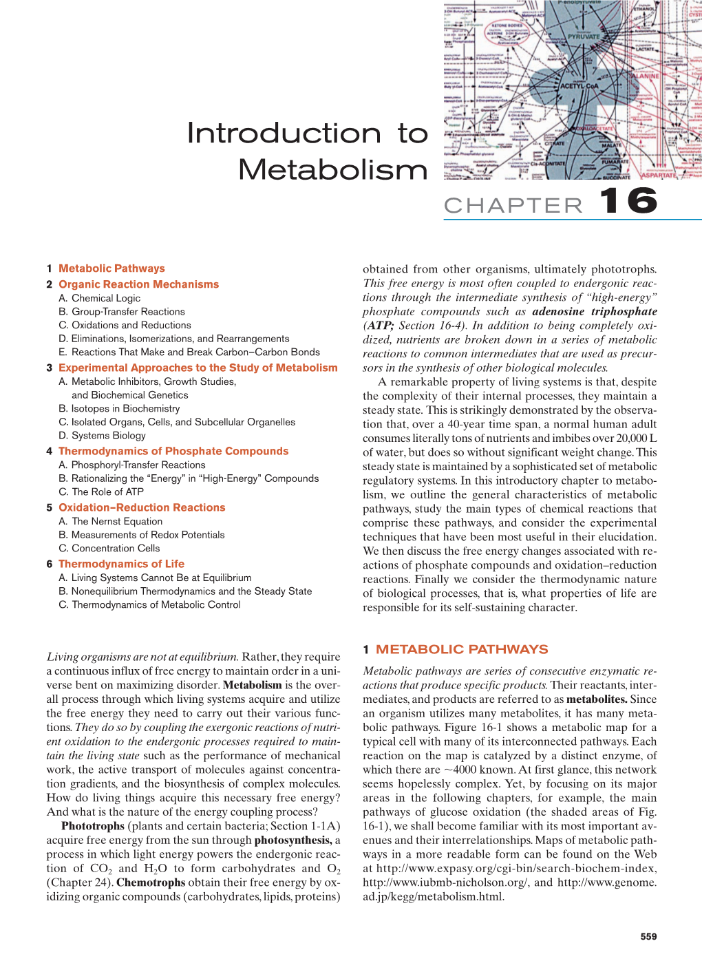 Biochemistry Steady State