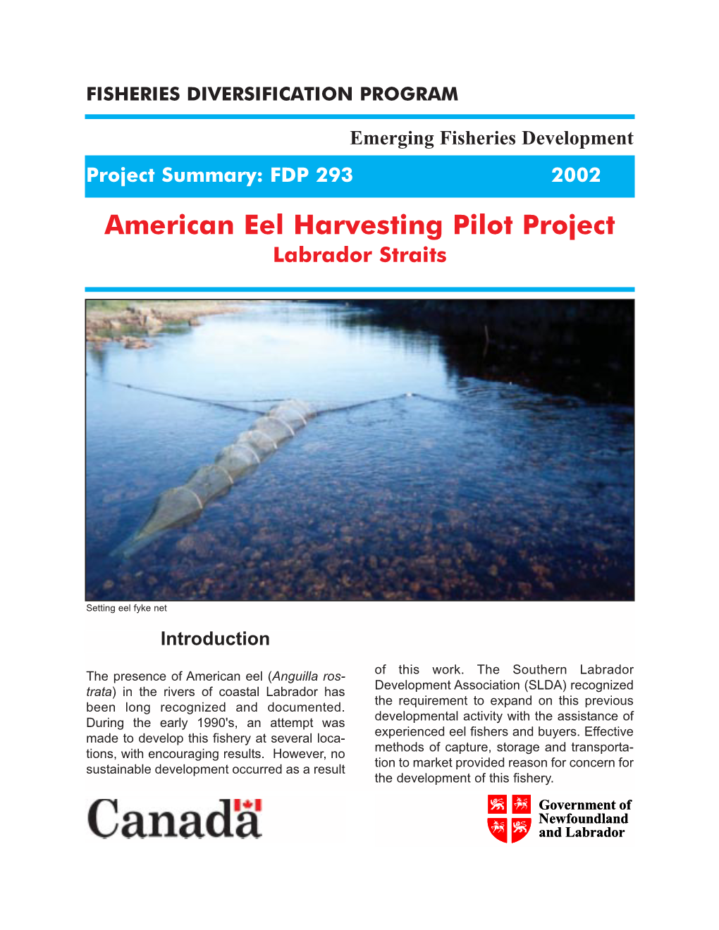 American Eel Harvesting Pilot Project Labrador Straits