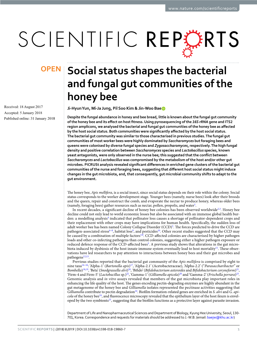 Social Status Shapes the Bacterial and Fungal Gut Communities of The