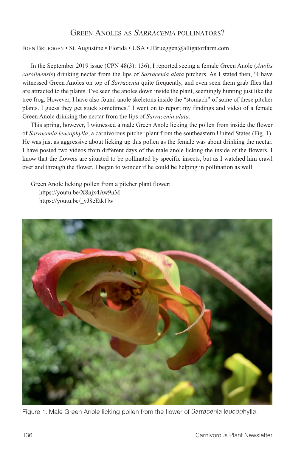 Carnivorous Plant Newsletter Vol. 49 No. 3, September 2020