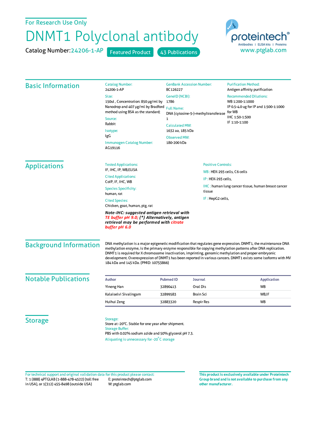 DNMT1 Polyclonal Antibody Catalog Number:24206-1-AP Featured Product 43 Publications