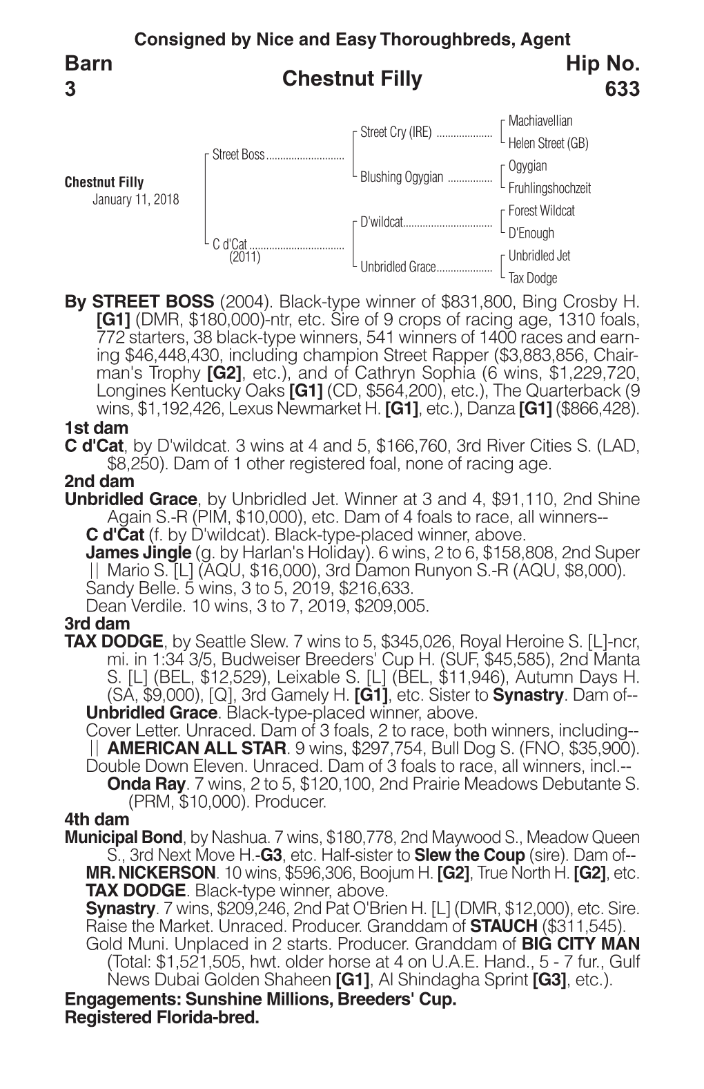 Chestnut Filly Barn 3 Hip No