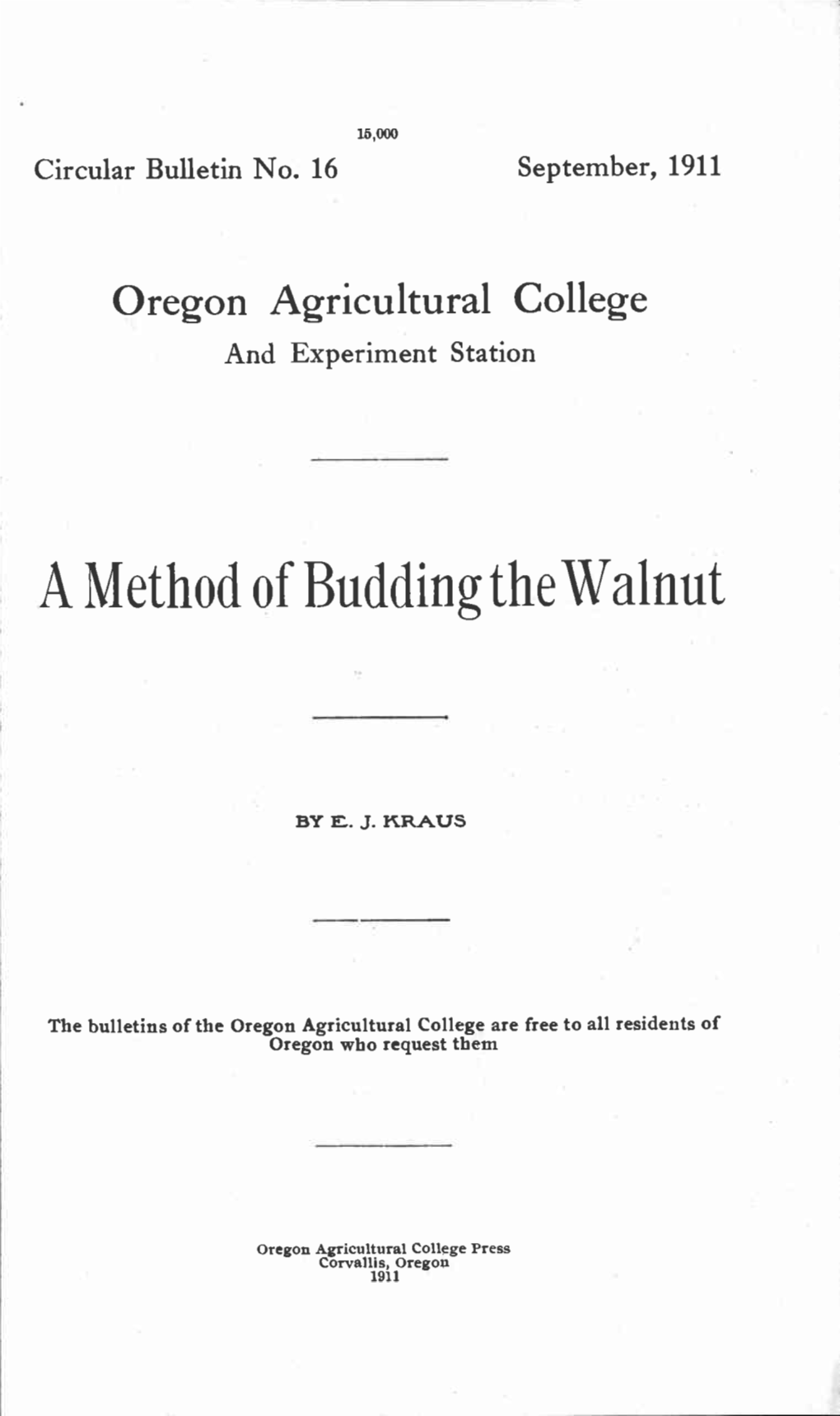 A Method of Budding the Walnut