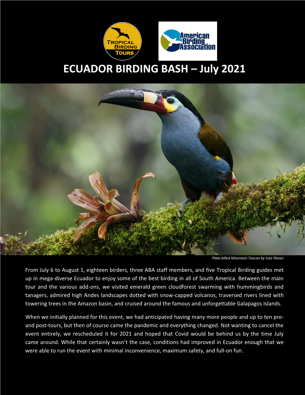 ECUADOR BIRDING BASH – July 2021