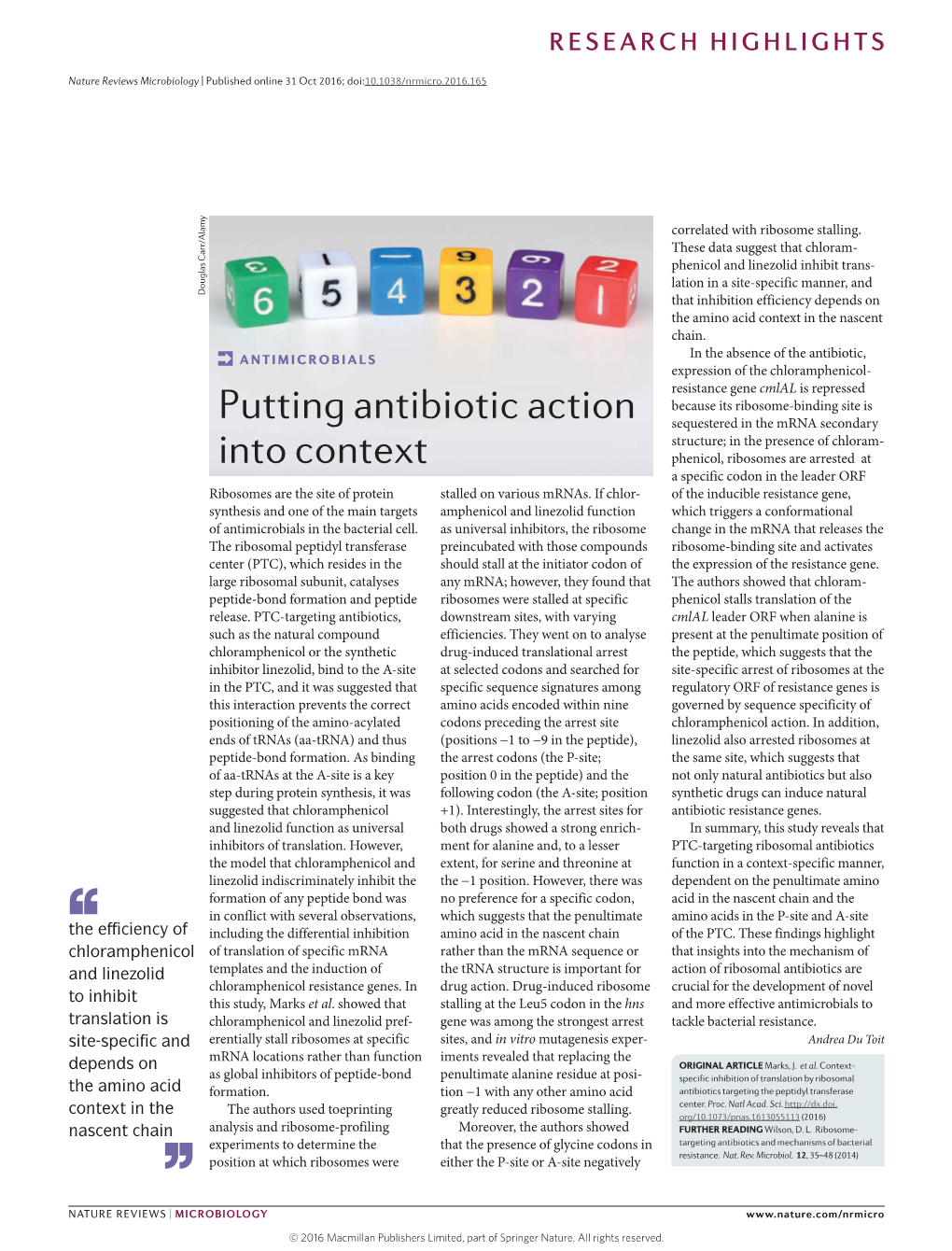 Putting Antibiotic Action Into Context