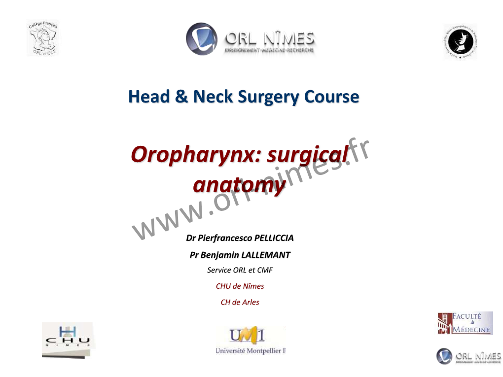 Head & Neck Surgery Course