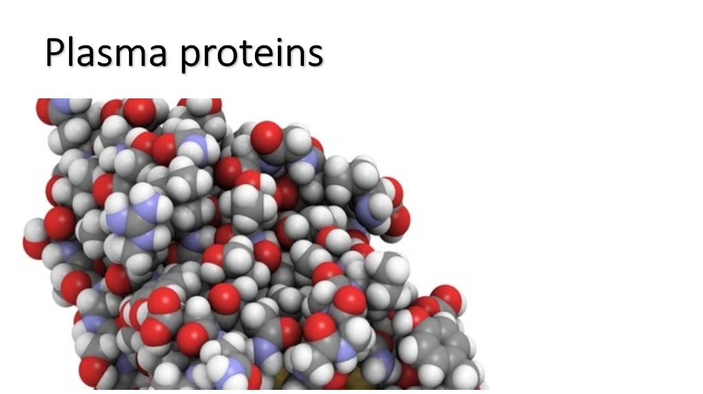 Plasma Proteins