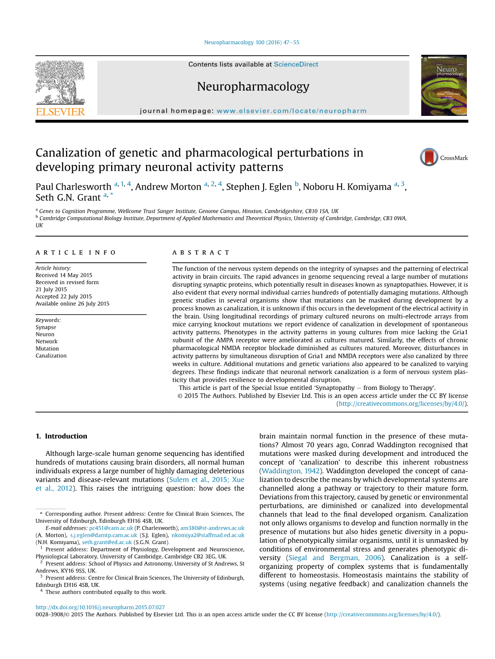 Canalization of Genetic and Pharmacological Perturbations in Developing Primary Neuronal Activity Patterns