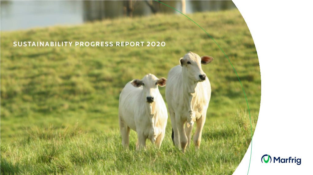 Sustainability Progress Report 2020 Summary 1