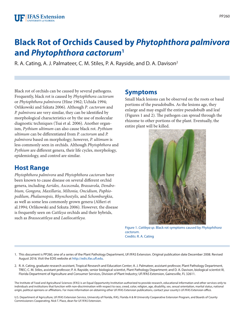 Black Rot of Orchids Caused by Phytophthora Palmivora and Phytophthora Cactorum1 R