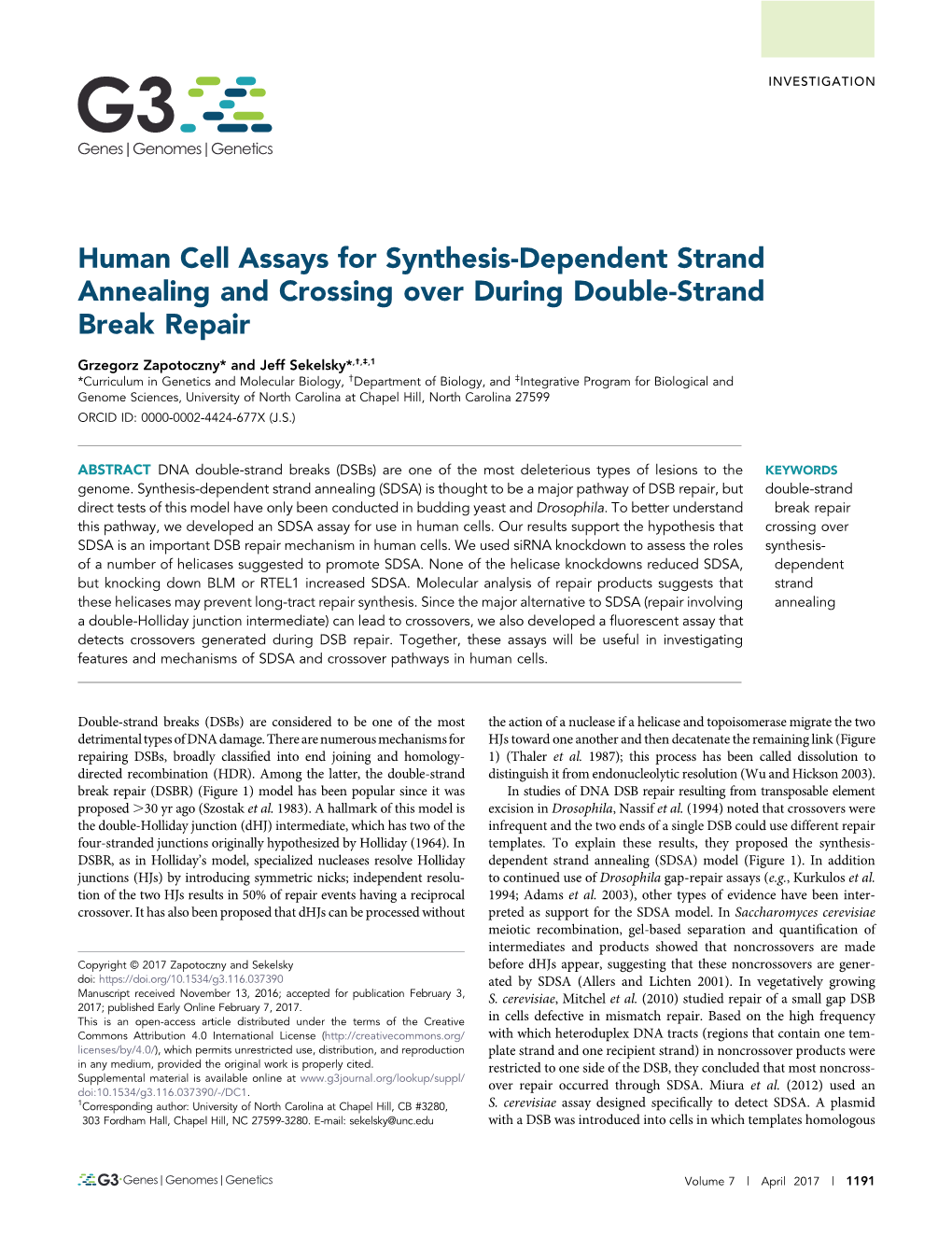 Human Cell Assays for Synthesis-Dependent Strand Annealing and Crossing Over During Double-Strand Break Repair