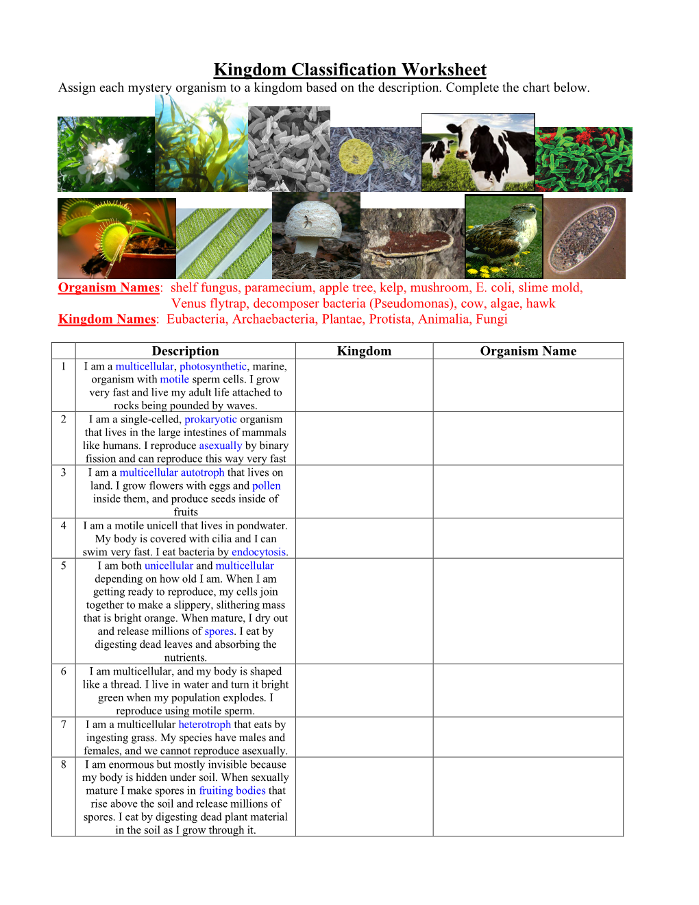 Kingdom Classification Worksheet Assign Each Mystery Organism to a Kingdom Based on the Description