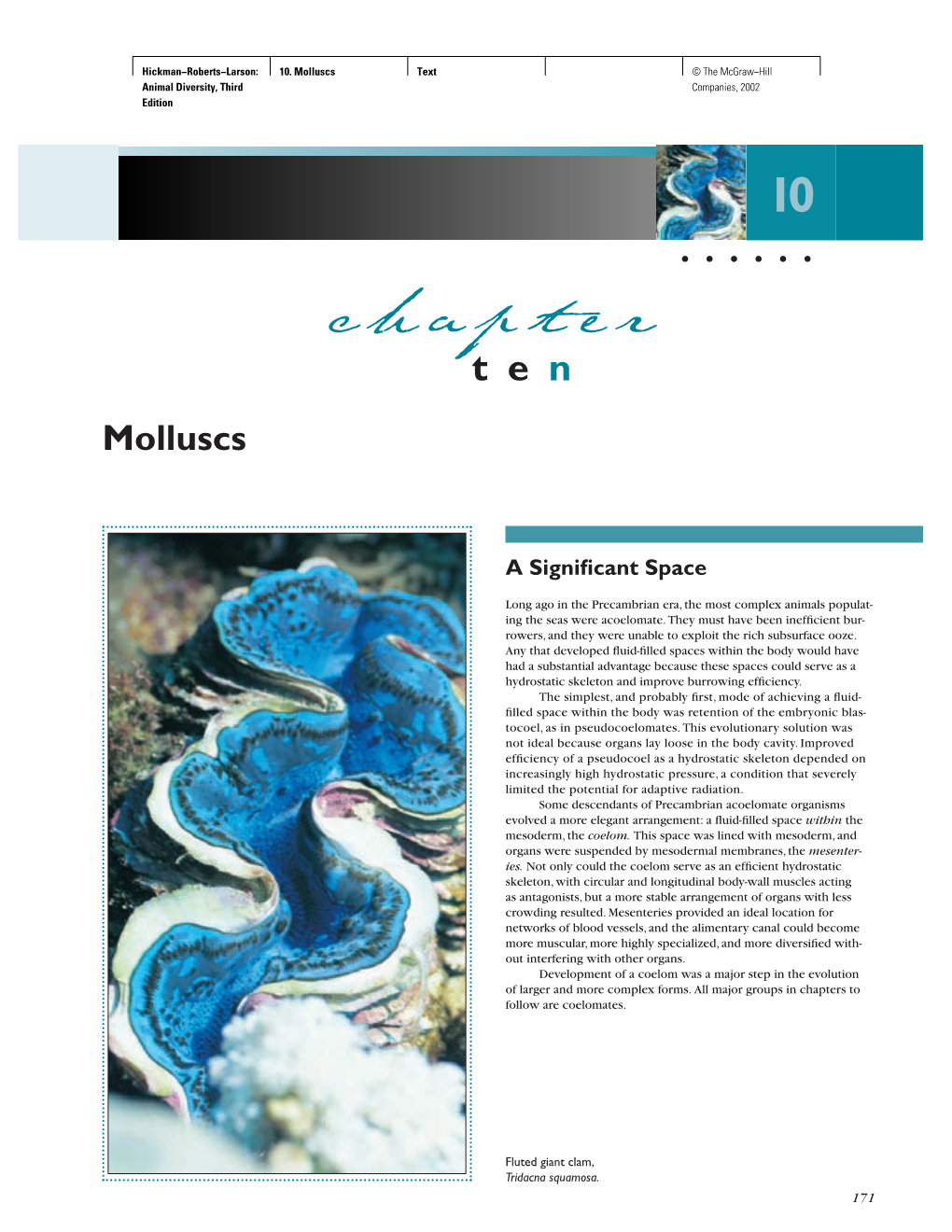 Chapter •••••• Ten Molluscs