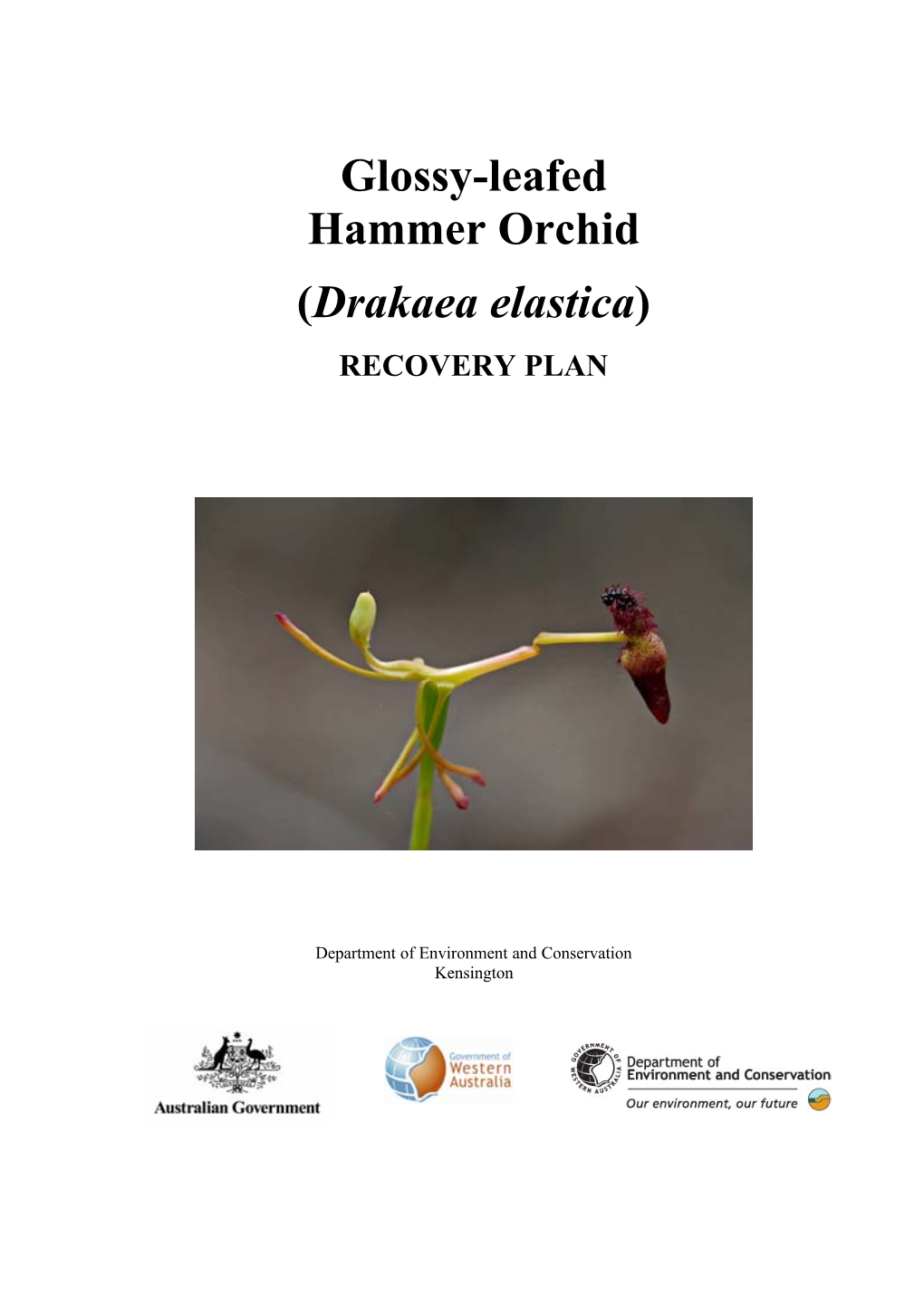 National Recovery Plan for the Glossy-Leafed Hammer Orchid (Drakaea Elastica)