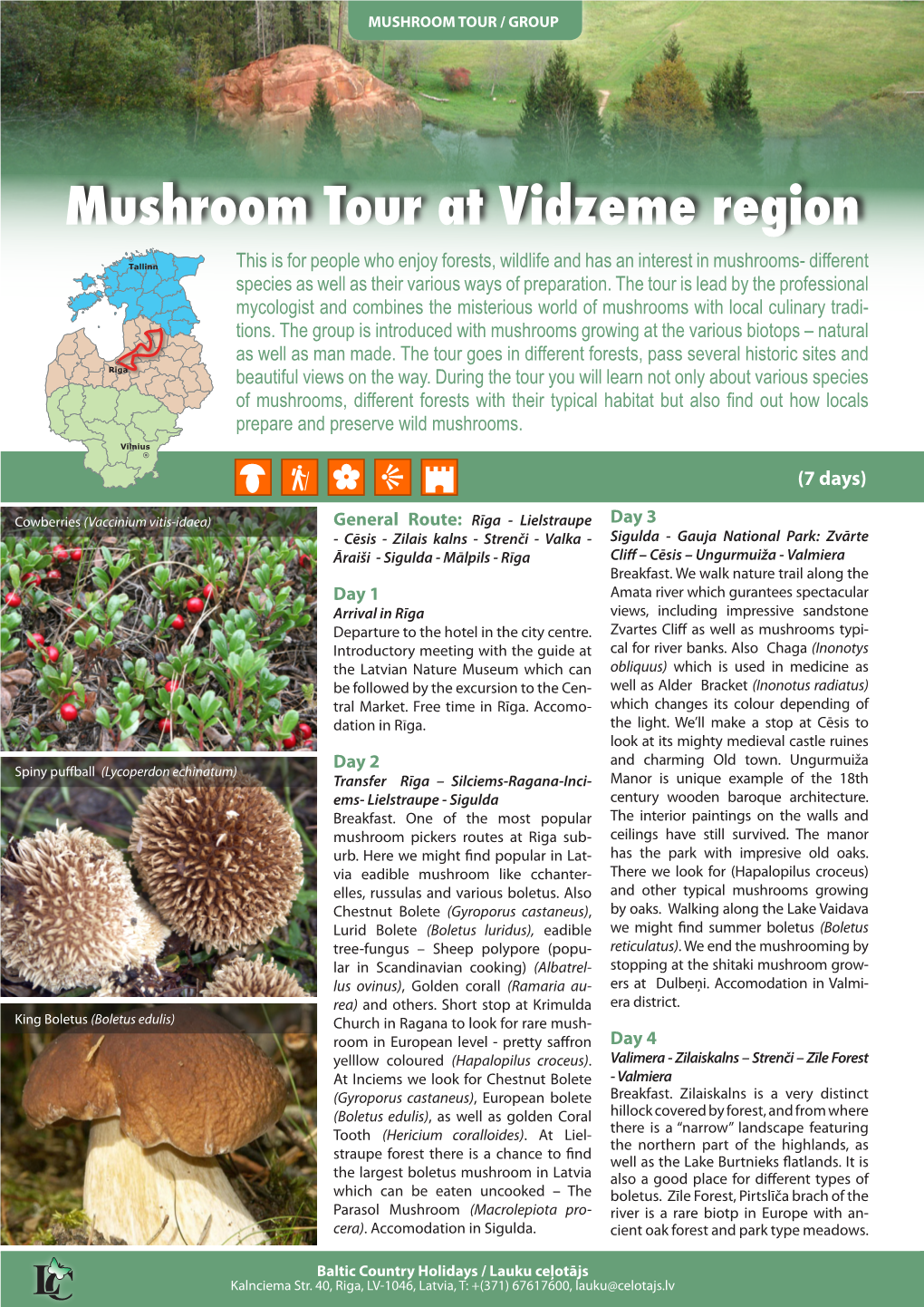 Mushroom Tour at Vidzeme Region