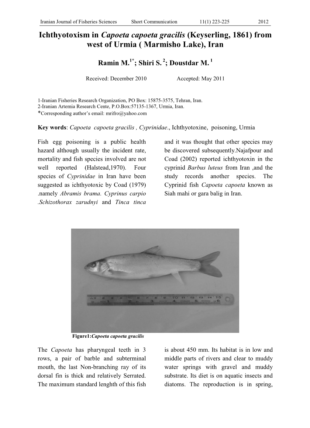 Ichthyootoxine in Capoeta Capoeta Gracilis ( Keyserling,1861) From