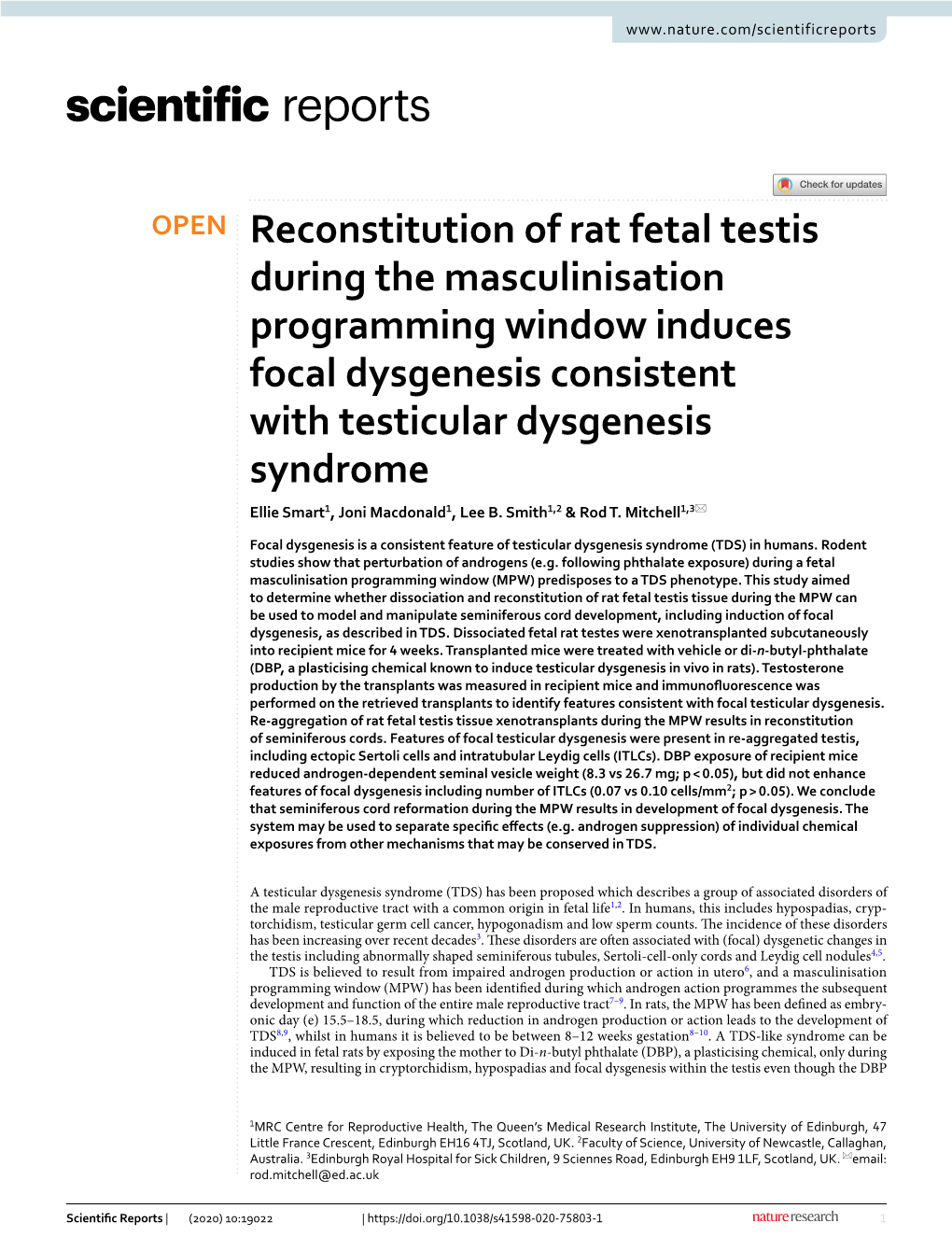 Reconstitution of Rat Fetal Testis During the Masculinisation Programming