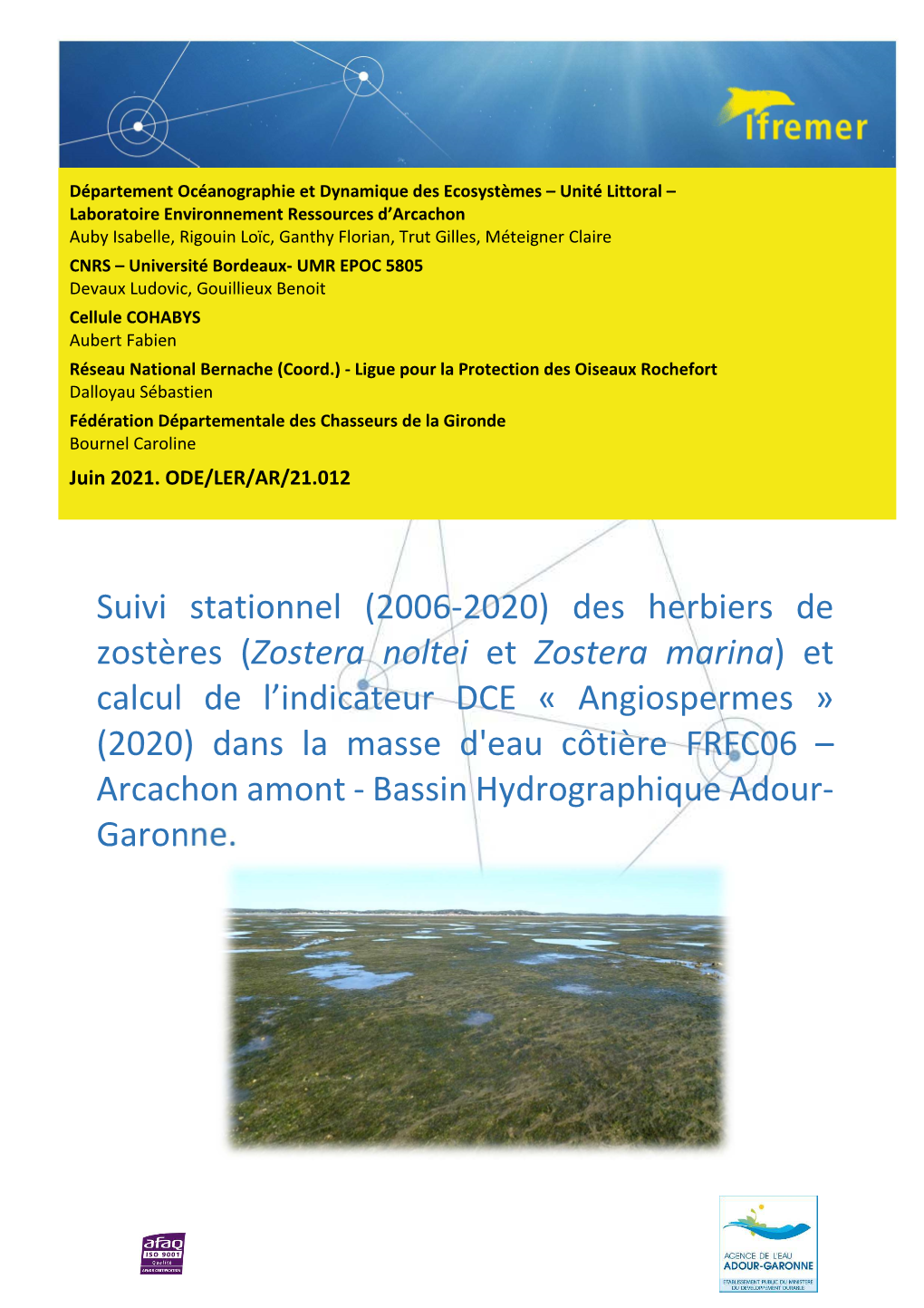 Suivi Stationnel (2006-2020) Des Herbiers De Zostères (Zostera Noltei