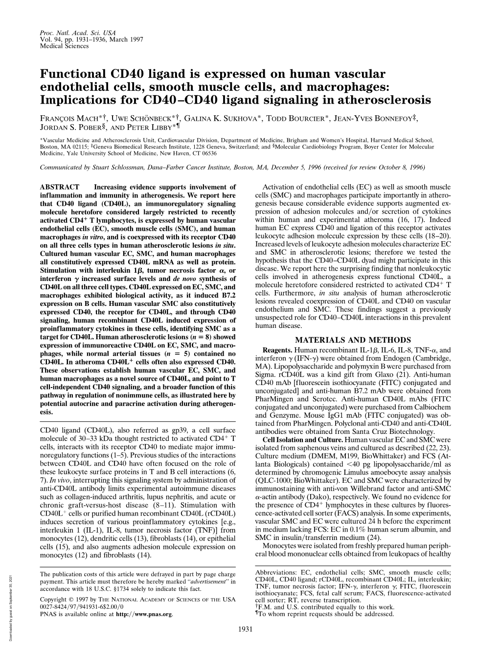 Functional CD40 Ligand Is Expressed on Human Vascular