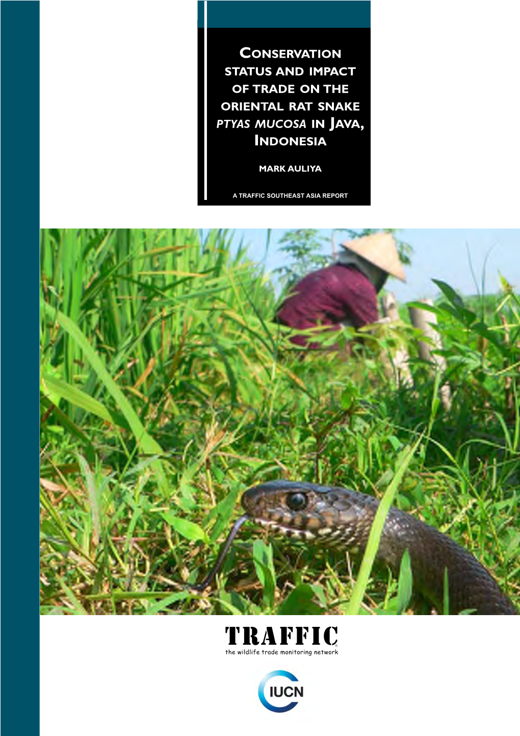 Conservation, Status and Impact of Trade on the Oriental Rat Snake