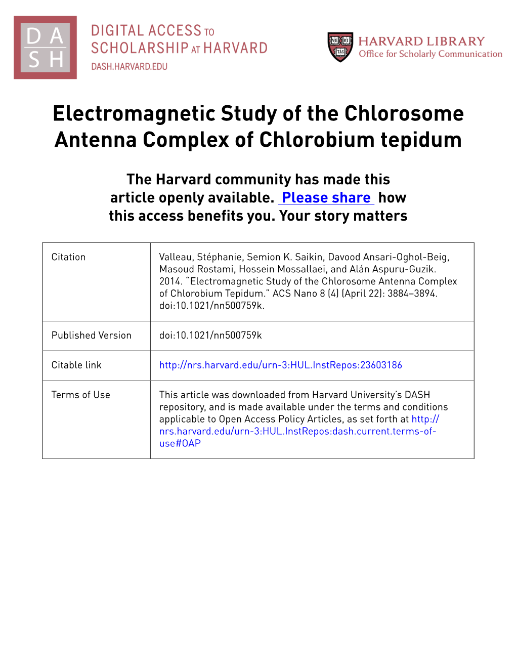 Electromagnetic Study of the Chlorosome Antenna Complex of Chlorobium Tepidum