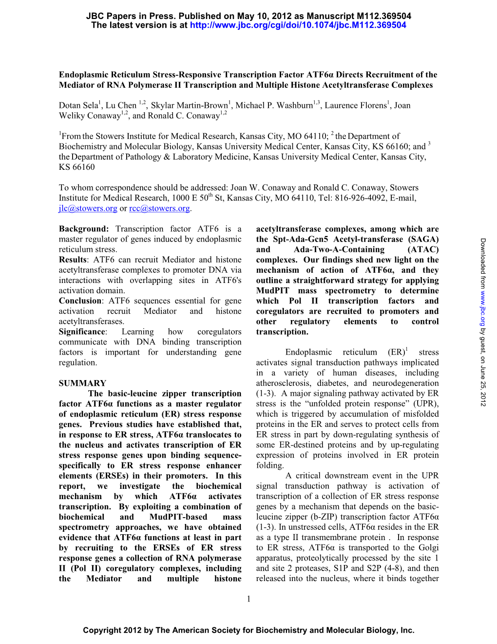 1 Endoplasmic Reticulum Stress-Responsive Transcription