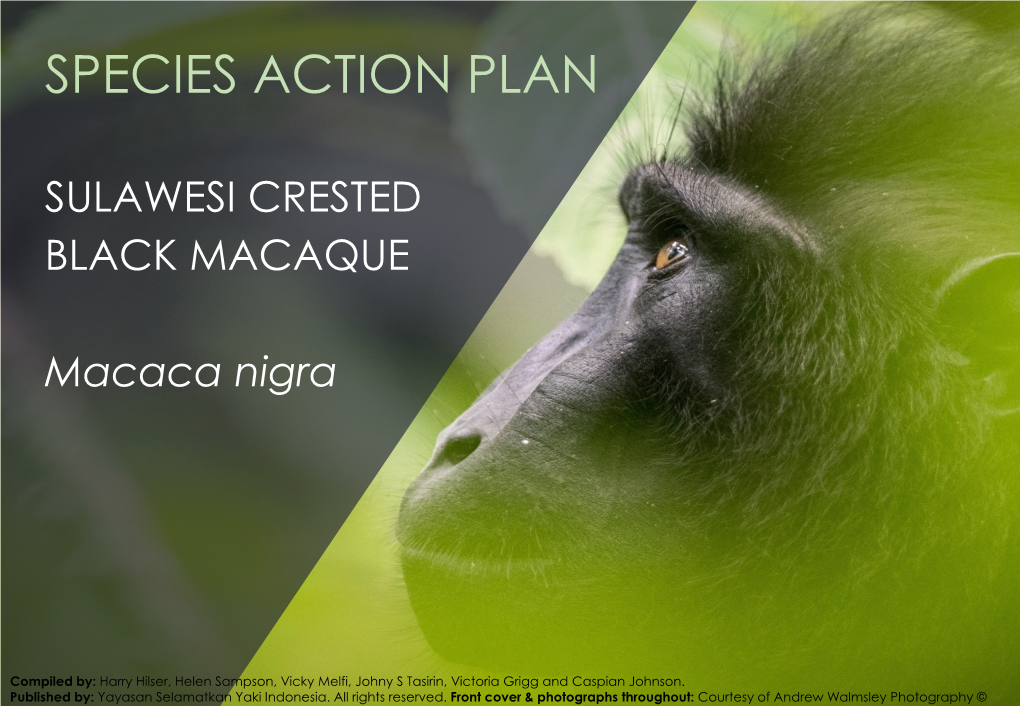 Species Action Plan